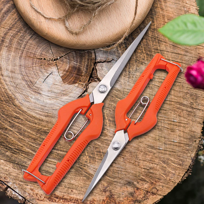องุ่นกรรไกรกรรไกรตัดแต่งกิ่งสว - Furniture Joining Hardware บทวิจารณ์และราคา