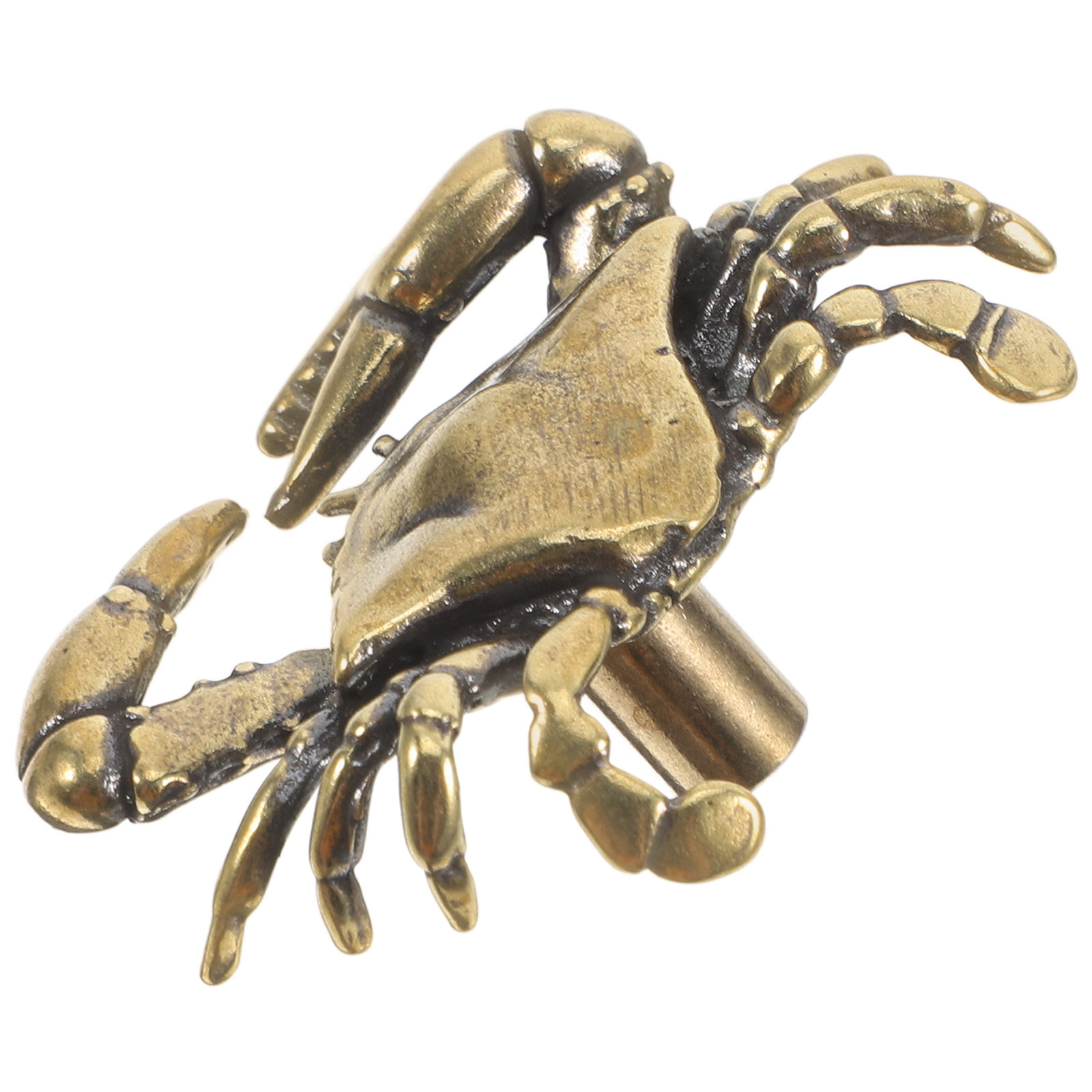 มือจับตู้รูปปูทองเหลือง ด้ามจั - Unique Furniture Hardware บทวิจารณ์และราคา